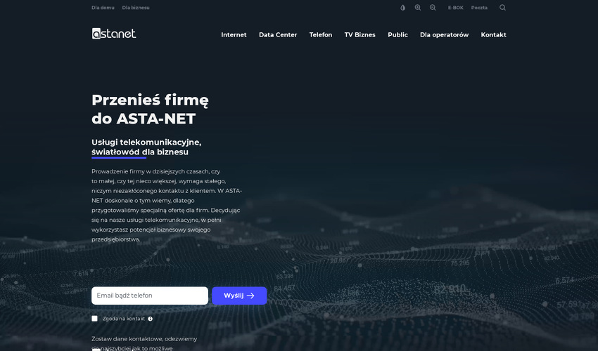 asta-net-biznes