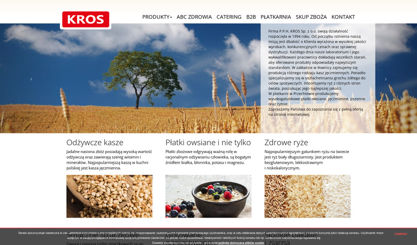 przedsiebiorstwo-produkcyjno-handlowo-uslugowe-kros-sp-z-o-o